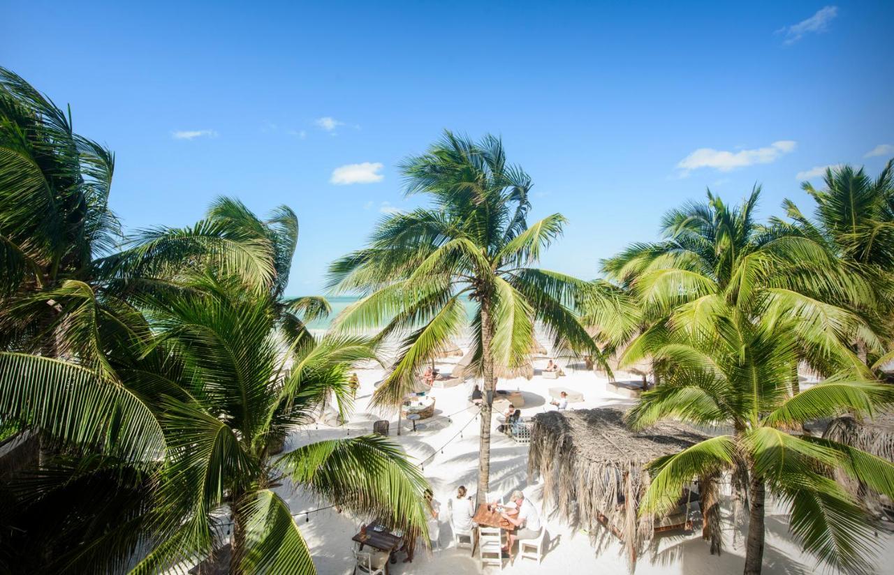 Casa Tortugas Petit & Hotel