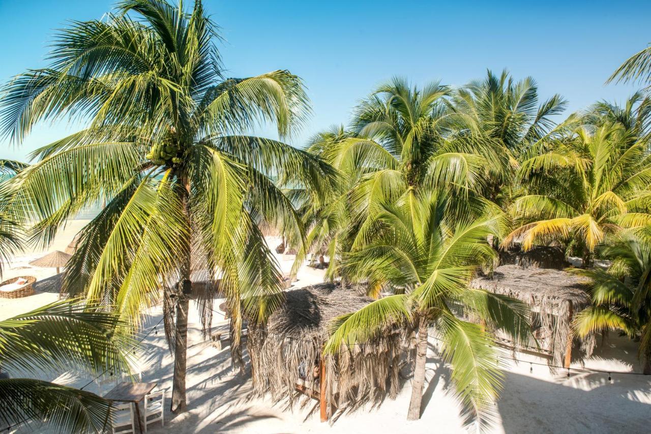 Casa Tortugas Petit & Hotel 4*